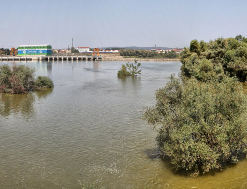 Adasu Regülatörü ve Hidroelektrik Santrali